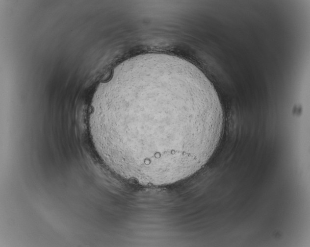 X0000112731346200909171118