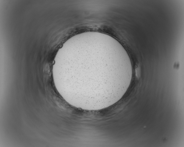 X0000112731347200909171118