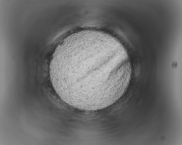 X0000112731350200909171118