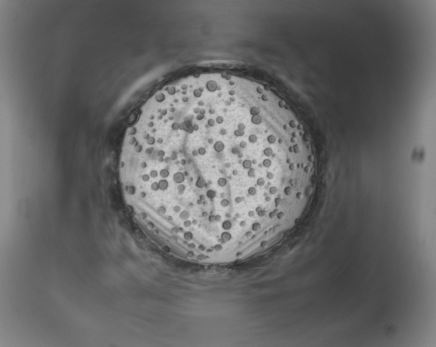 X0000112731351200909171118