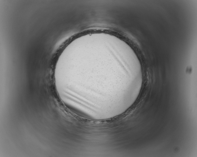 X0000112731352200909171118