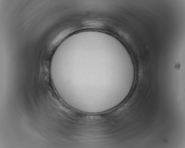 X0000112731354200909171118