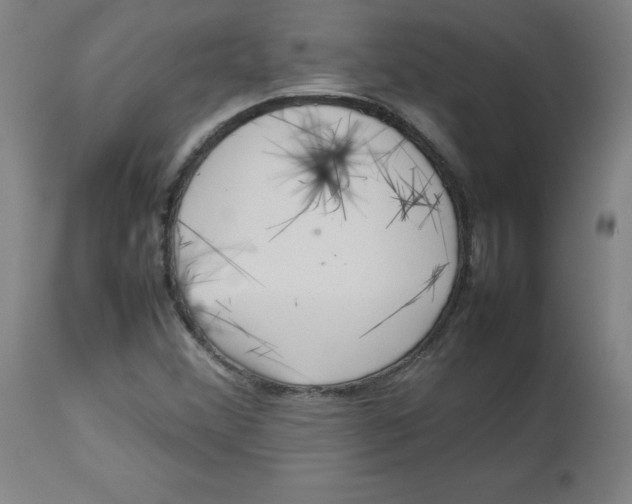 X0000112731356200909171118