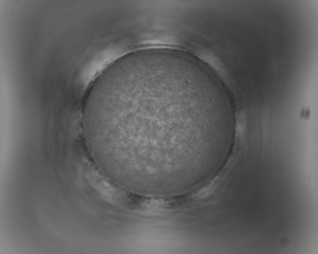 X0000112731357200909171118