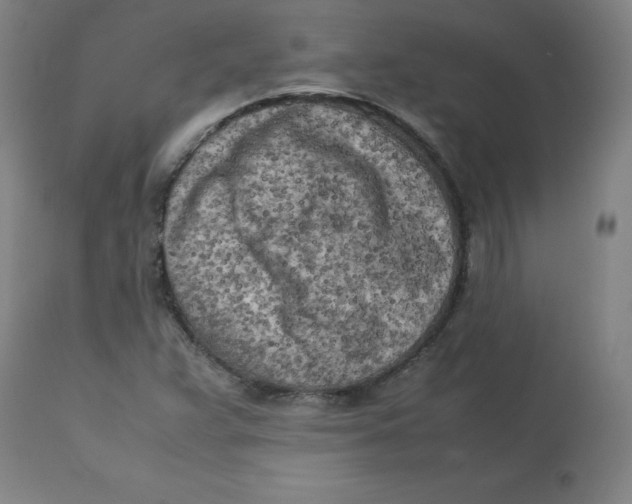 X0000112731359200909171118