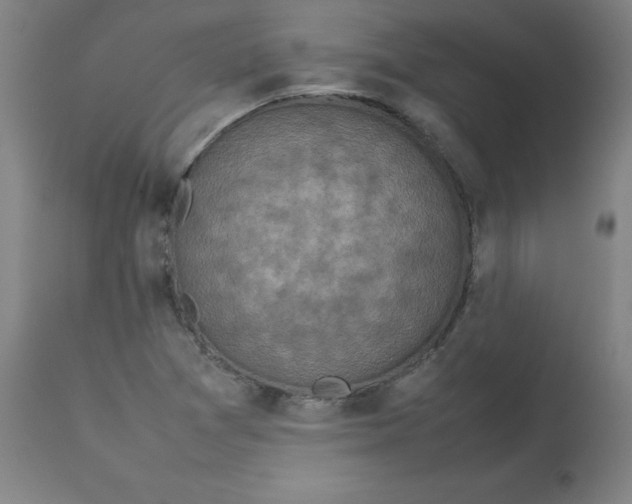 X0000112731361200909171118