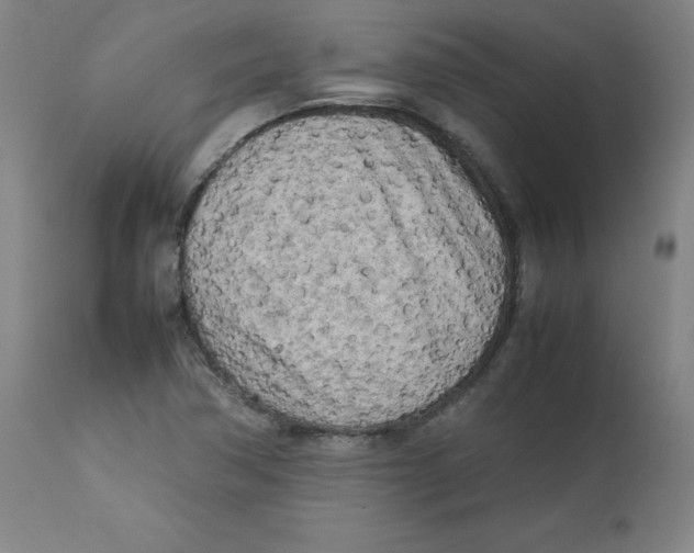 X0000112731362200909171118