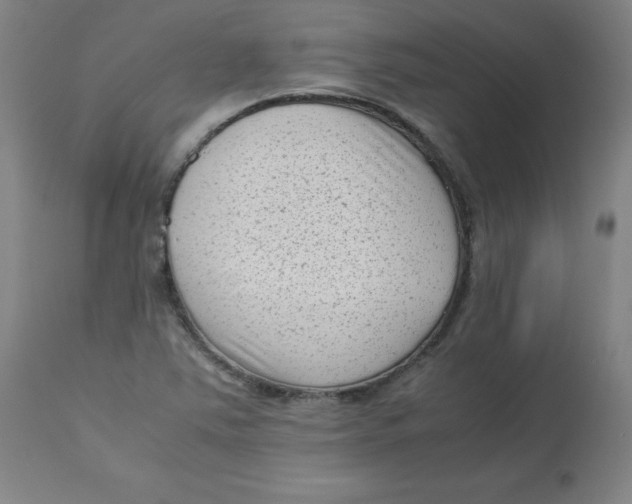 X0000112731363200909171118