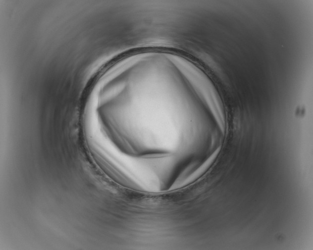 X0000112731364200909171118