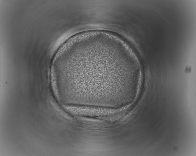 X0000112731365200909171118