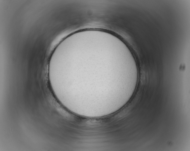 X0000112731366200909171118