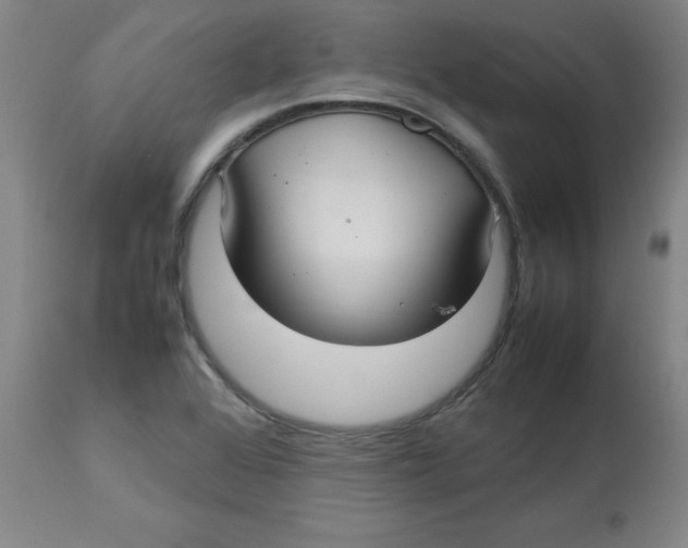 X0000112731368200909171118