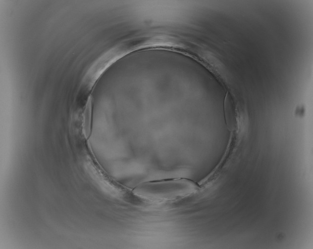 X0000112731369200909171117