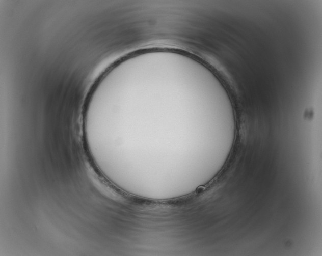 X0000112731372200909171117