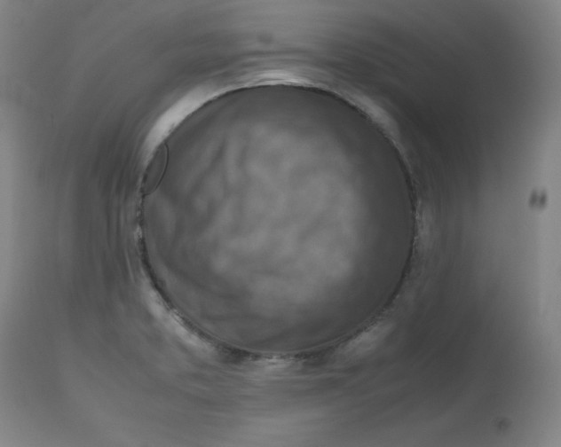 X0000112731373200909171117