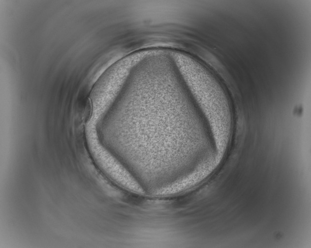 X0000112731377200909171117