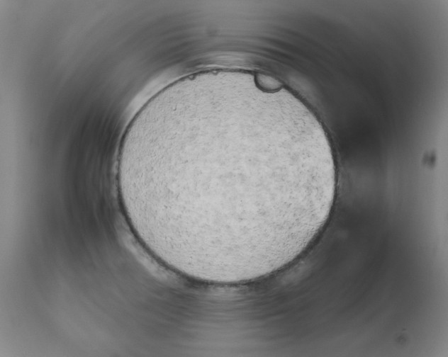 X0000112731378200909171117