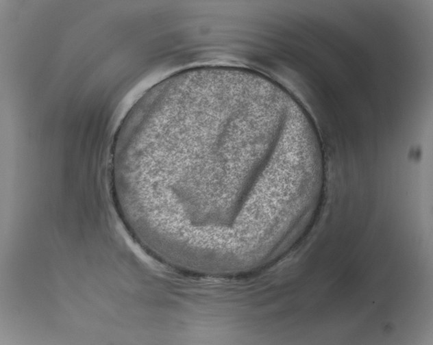 X0000112731379200909171117