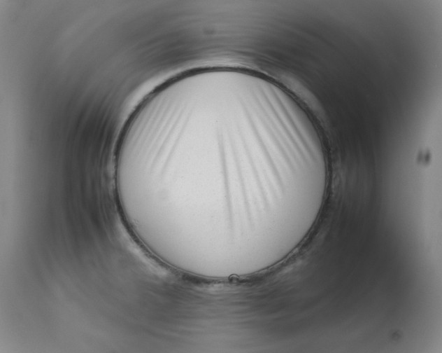 X0000112731380200909171117