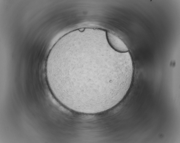 X0000112731382200909171117