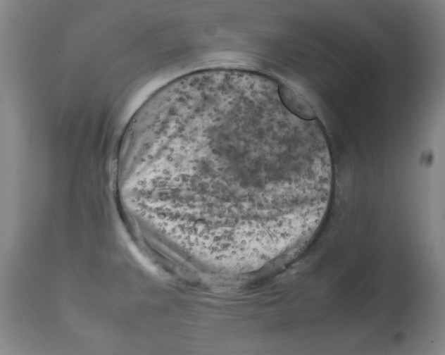 X0000112731383200909171117