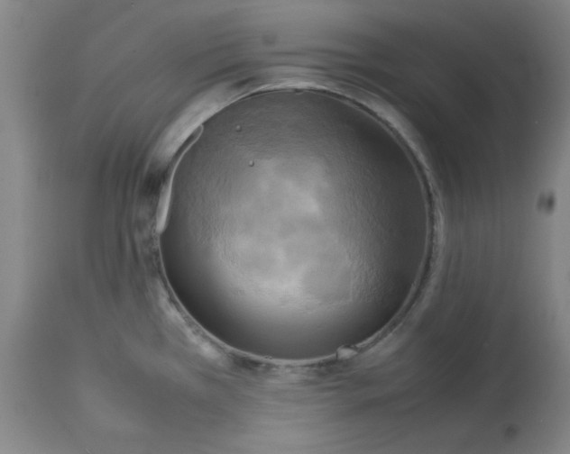 X0000112731385200909171117