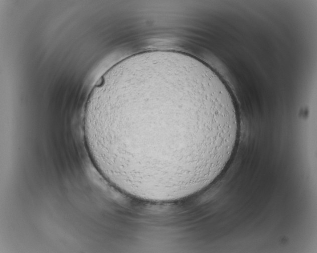 X0000112731386200909171117