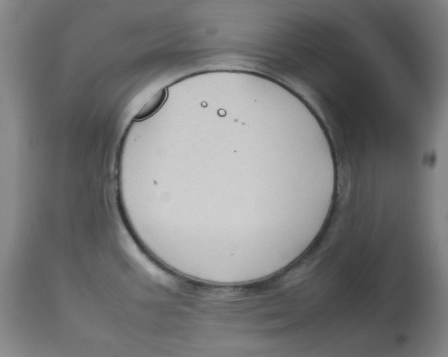 X0000112731387200909171117