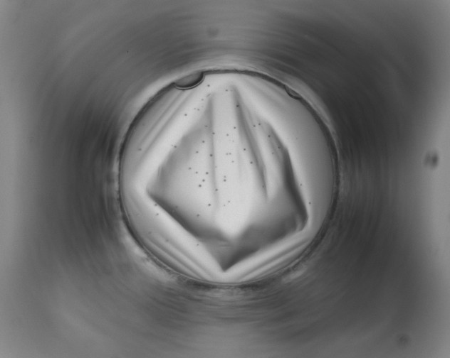 X0000112731388200909171117