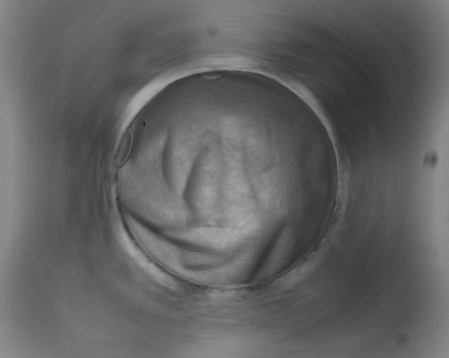 X0000112731389200909171117