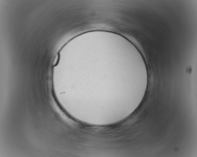 X0000112731391200909171117