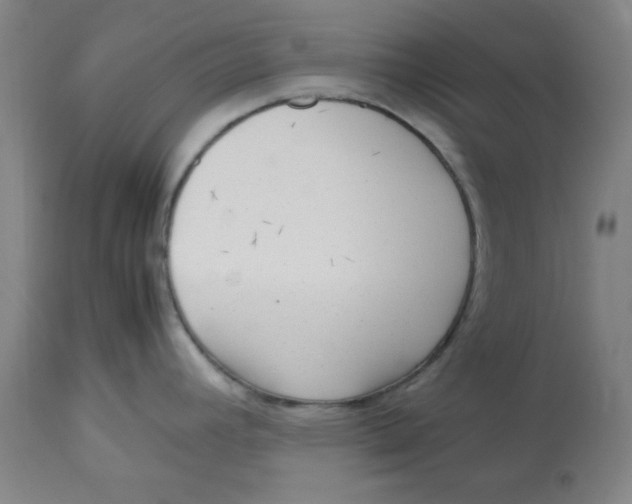 X0000112731392200909171117