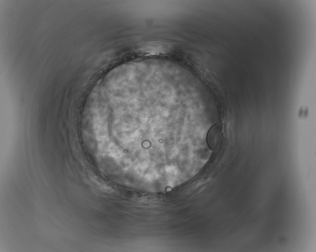 X0000112731393200909171117