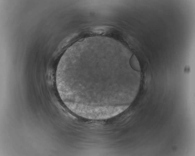 X0000112731394200909171117