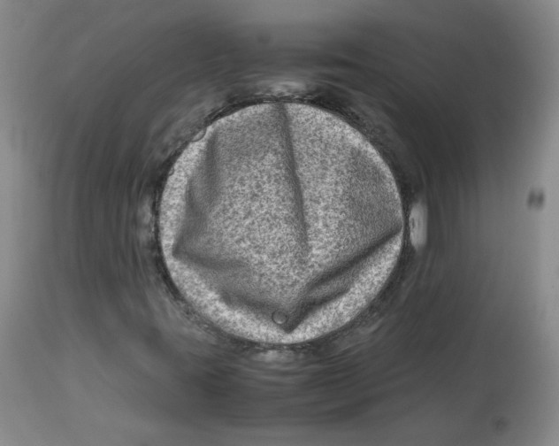 X0000112731395200909171117