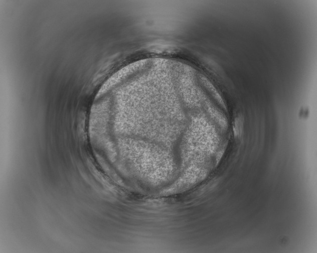 X0000112731396200909171117