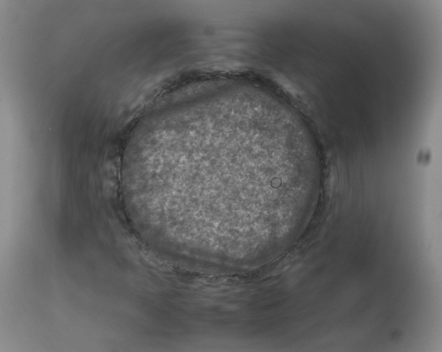 X0000112731397200909171117