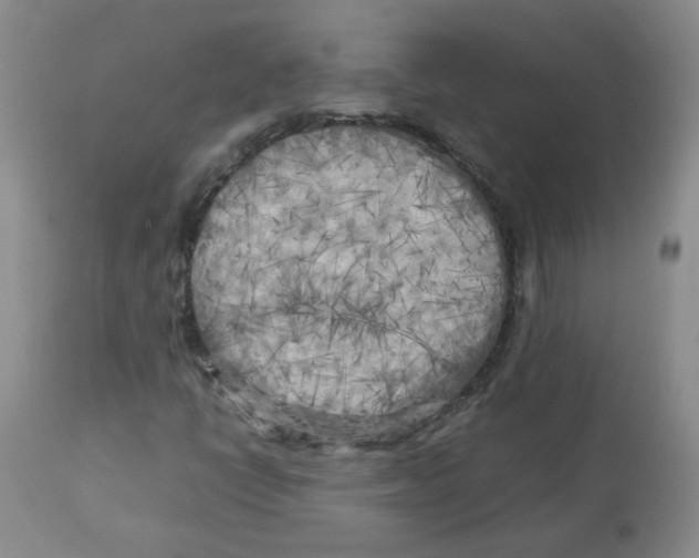X0000112731398200909171117