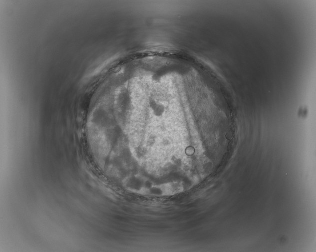 X0000112731399200909171117