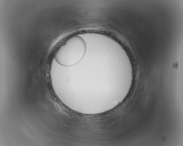 X0000112731400200909171117