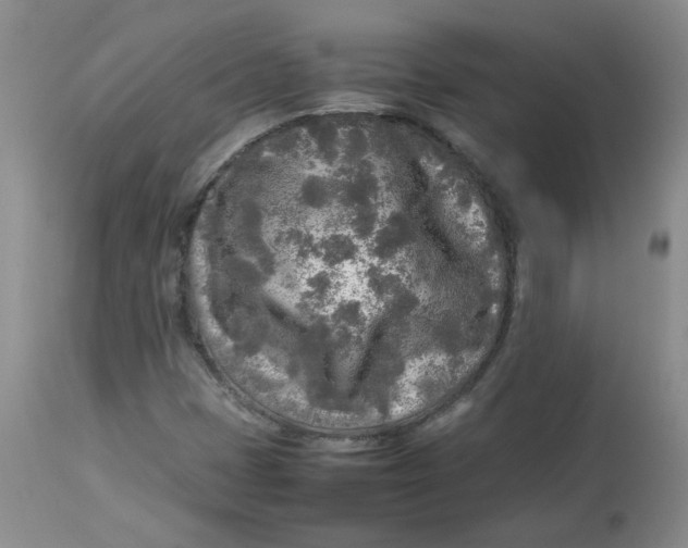 X0000112731401200909171117