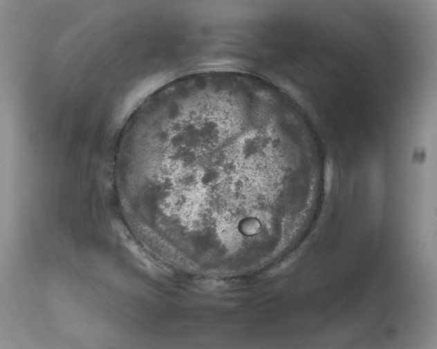 X0000112731405200909171117