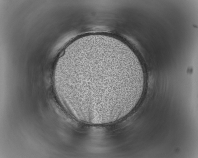 X0000112731407200909171117