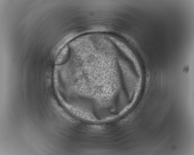 X0000112731409200909171117