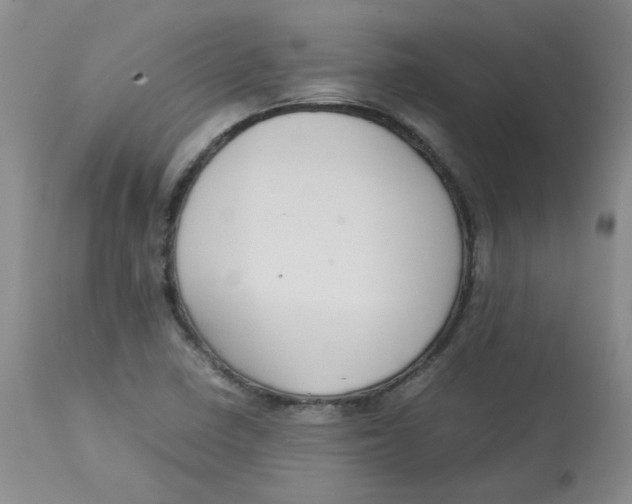 X0000112731410200909171117