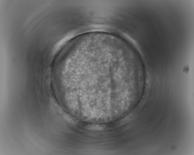 X0000112731411200909171117