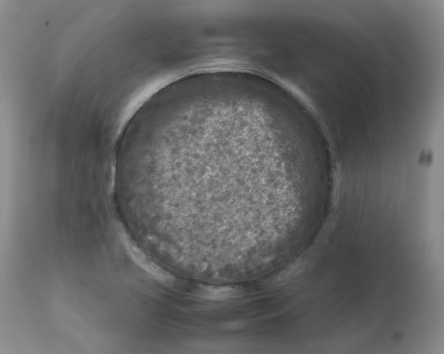 X0000112731413200909171117