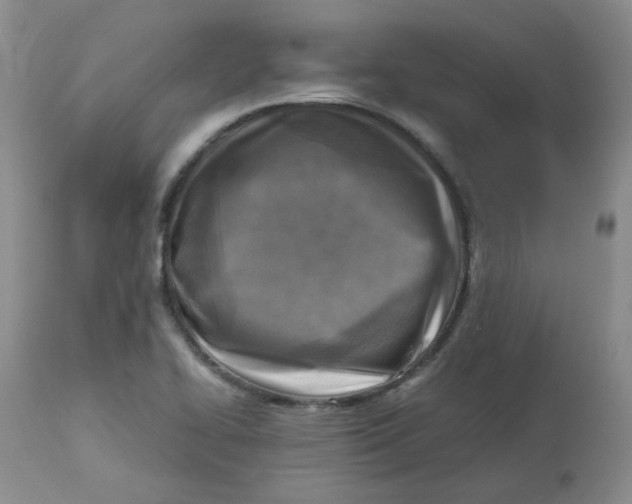 X0000112731414200909171117