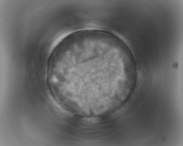 X0000112731415200909171117