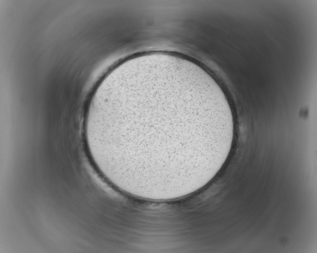 X0000112731416200909171117